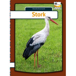 Stork - engelsk 