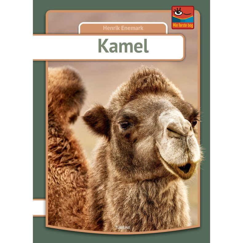 Kamel 