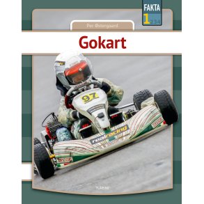 Gokart 