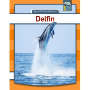 Delfin 
