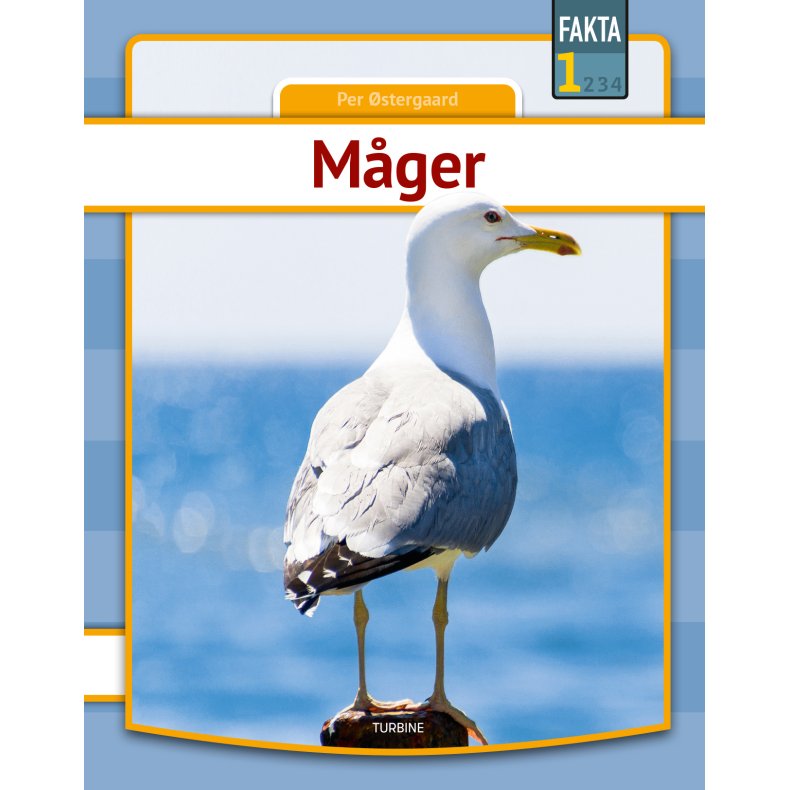 Mger 