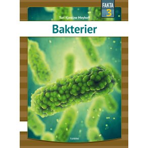 Bakterier 