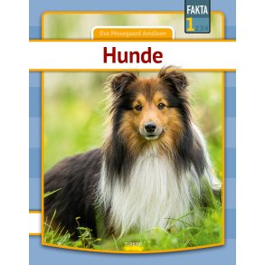 Hunde 