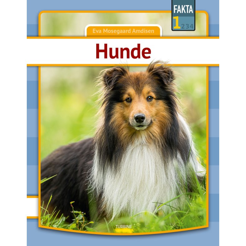 Hunde 