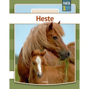 Heste 