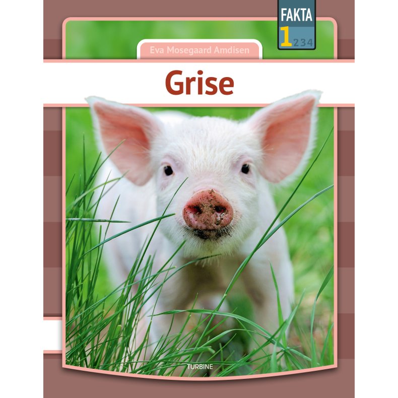 Grise 