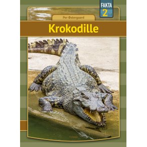 Krokodille 