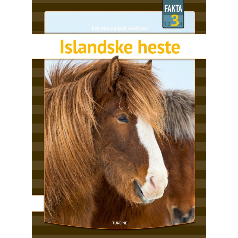Islandske heste 
