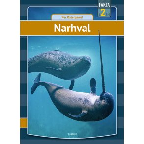 Narhval 