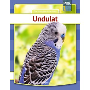 Undulat 