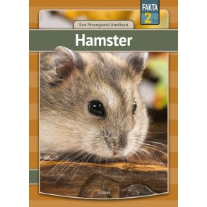 Hamster 