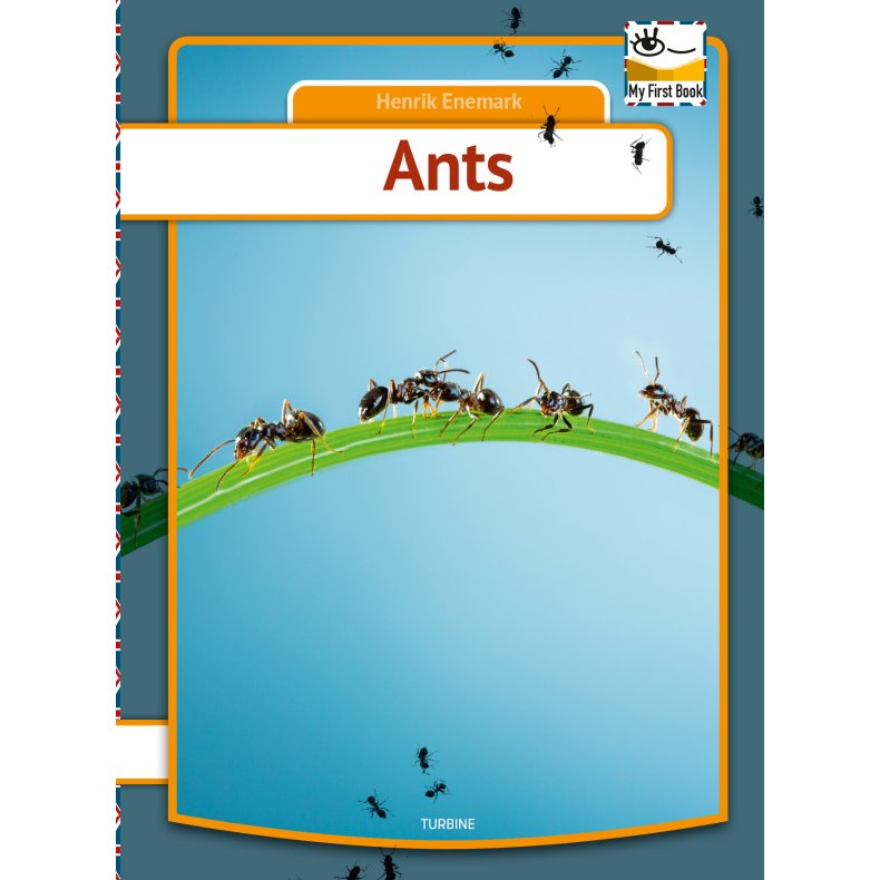 Ants 