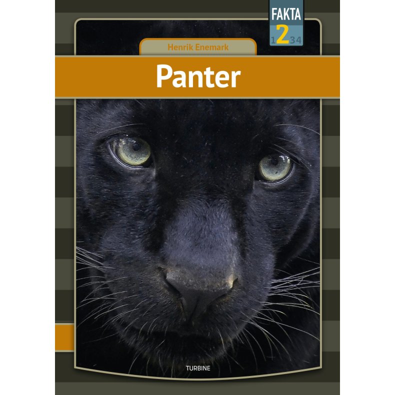 Panter 