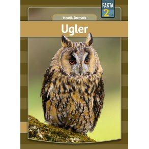 Ugler 
