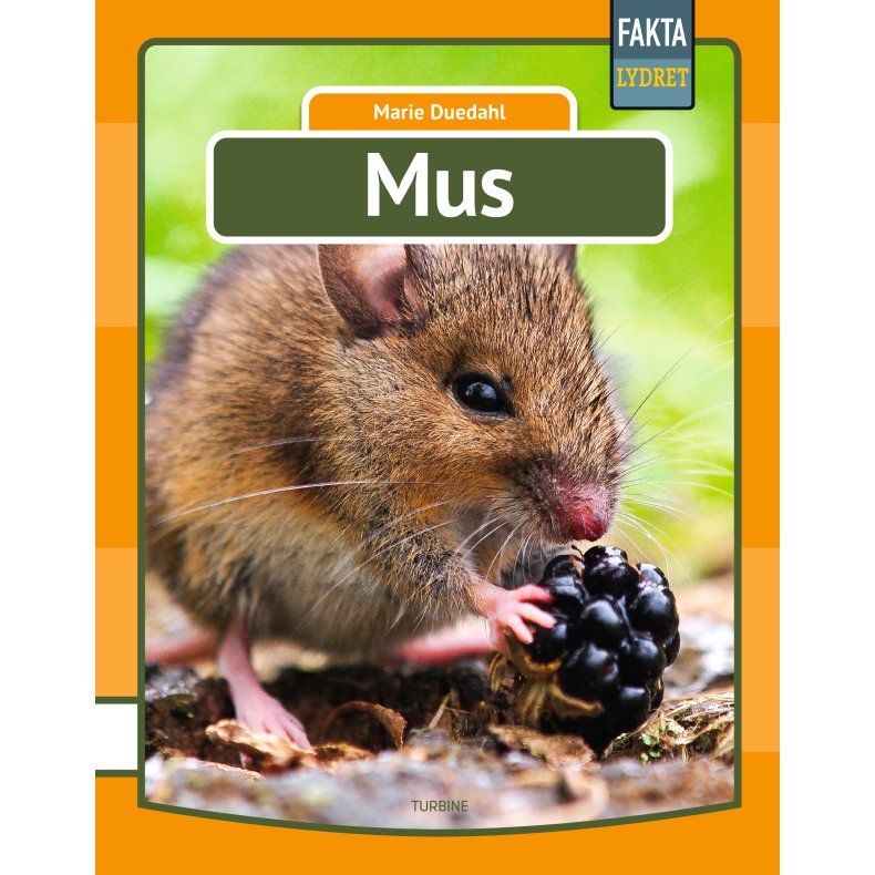 Mus 