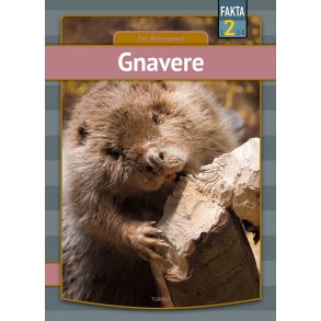 Gnavere 