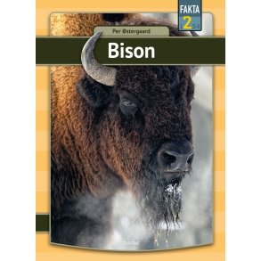 Bison 