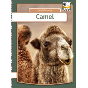 Camel 