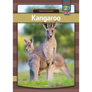 Kangaroo 
