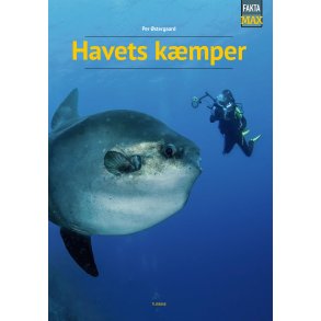 Havets kmper 