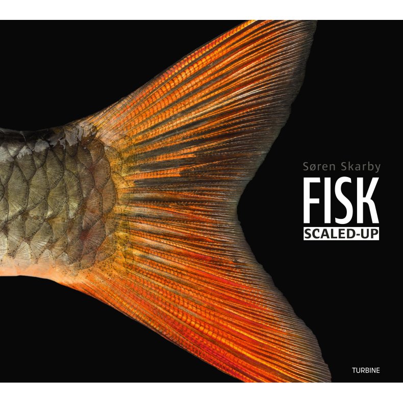 FISK  scaled-up 