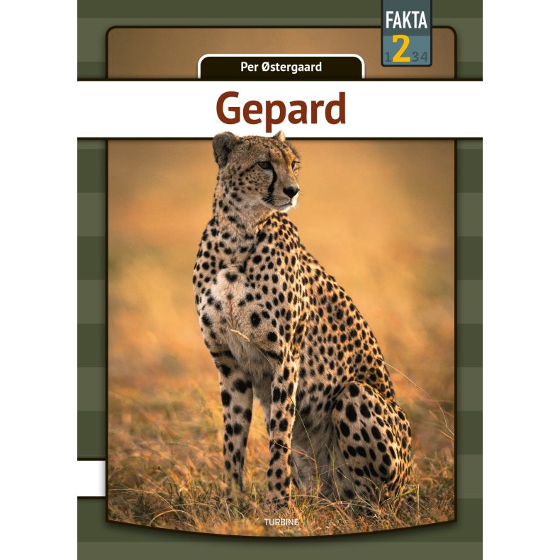 Gepard 