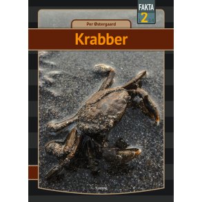 Krabber 