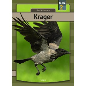 Krager 