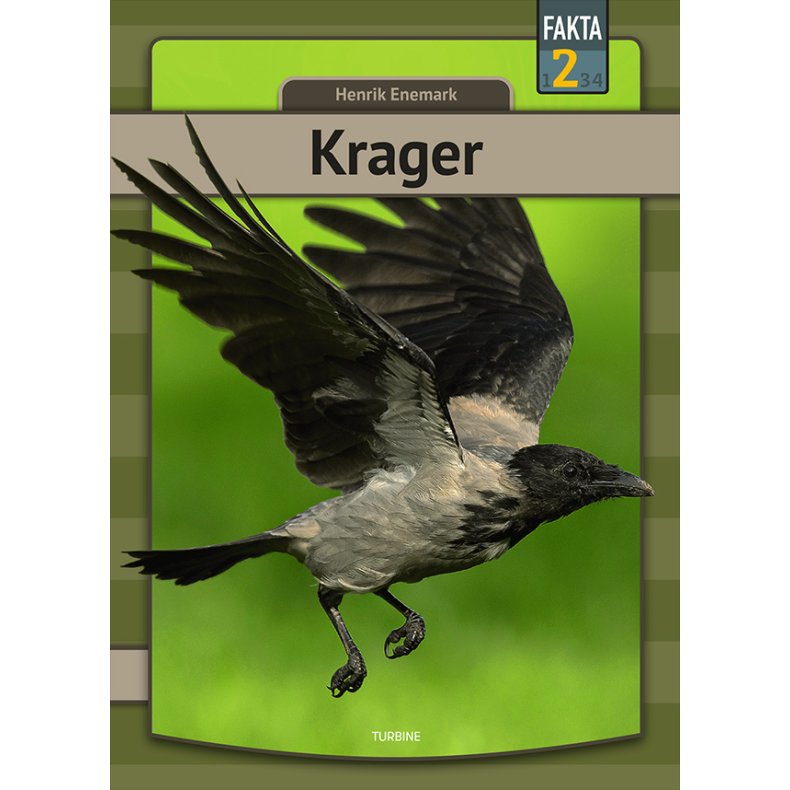 Krager 
