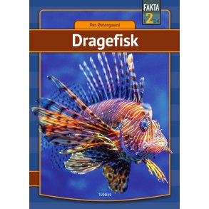 Dragefisk 