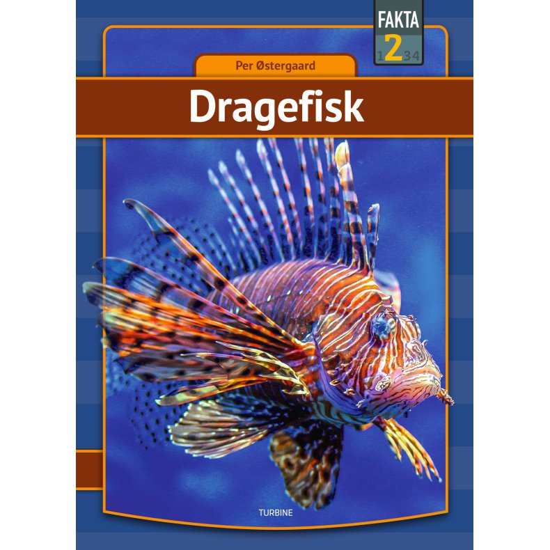 Dragefisk 