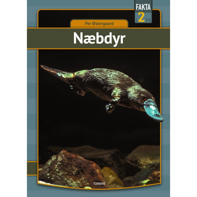 Nbdyr 
