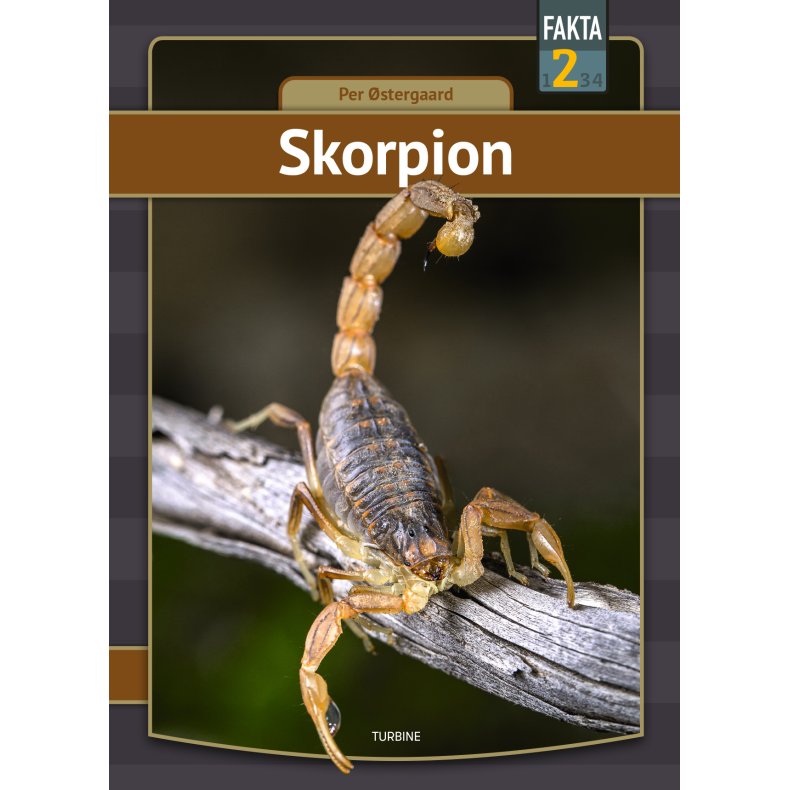 Skorpion 