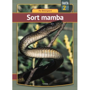 Sort mamba 