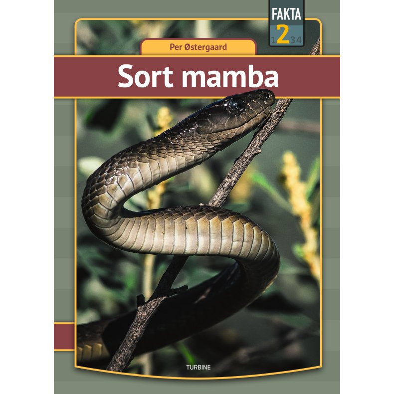 Sort mamba 