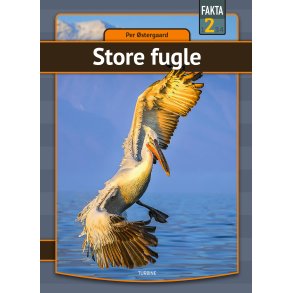Store fugle 
