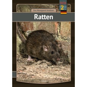 Ratten 
