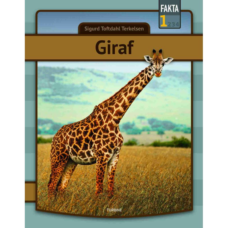 Giraf 