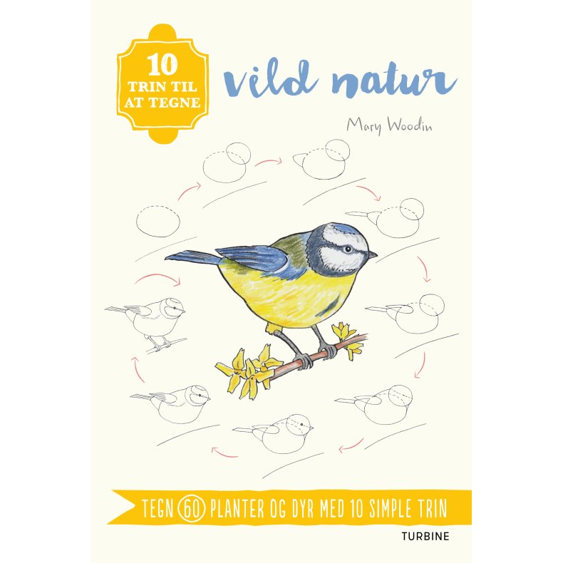 10 trin til at tegne vild natur 