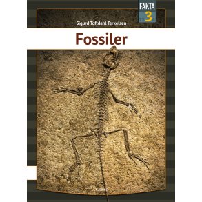 Fossiler 