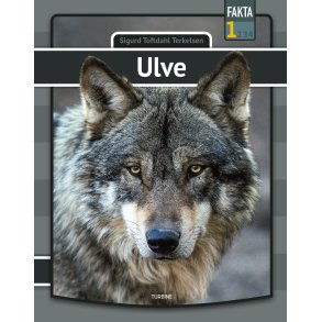 Ulve 