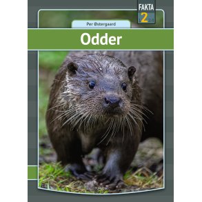 Odder 