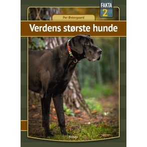 Verdens strste hunde 