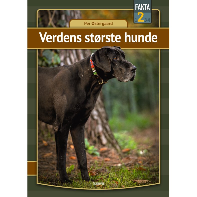 Verdens strste hunde 
