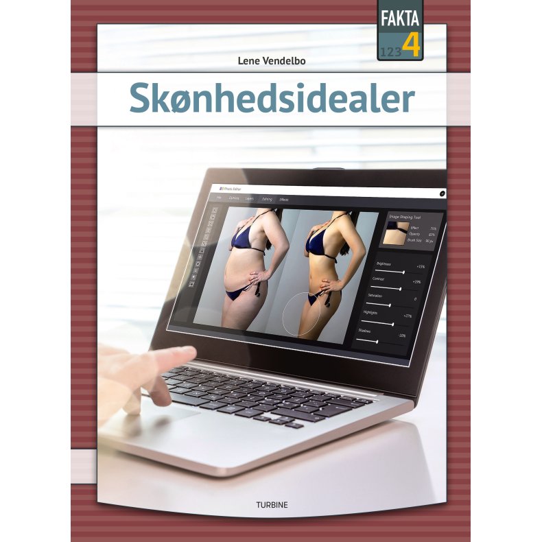 Sknhedsidealer 