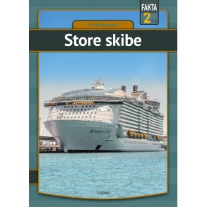 Store skibe 