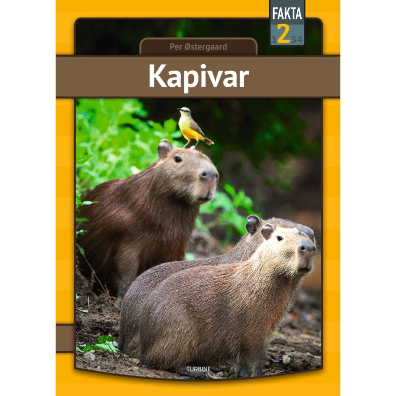 Kapivar 