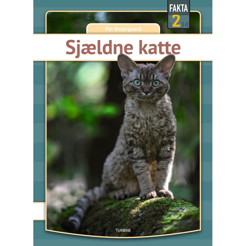 Sjldne katte 