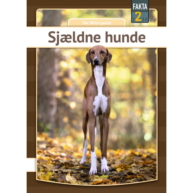 Sj�ldne hunde 