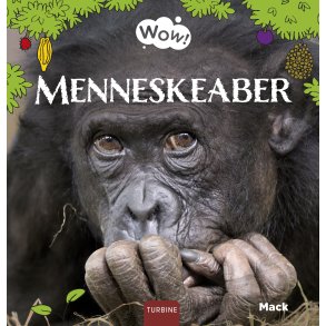 Menneskeaber 